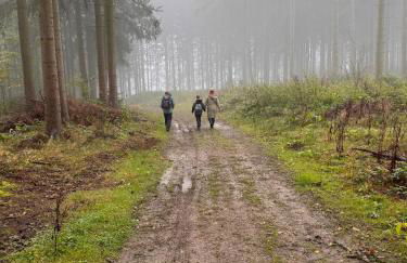 Ellis-Ferienwohnung-Erzgebirge - Foto 24