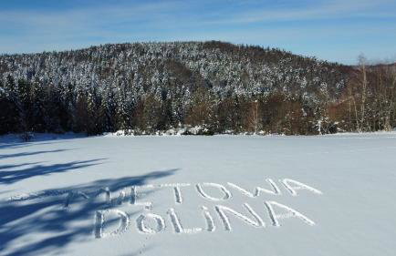 Miętowa Dolina - Foto 26