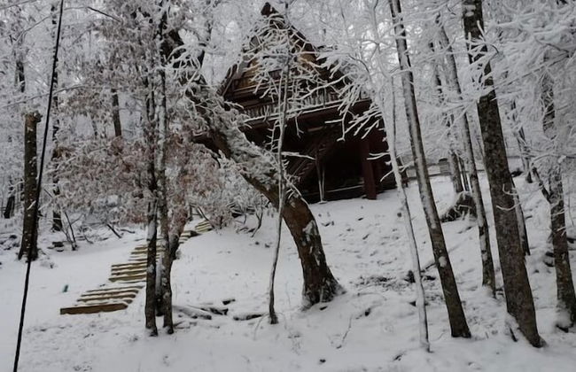 Unforgettable Dreams - Foto 1