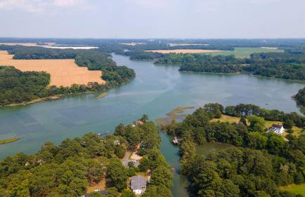 Counting Corks - Waterfront, Pet friendly, private dock! - Foto 57