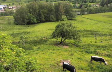 Gite BUSSANG - Foto 12