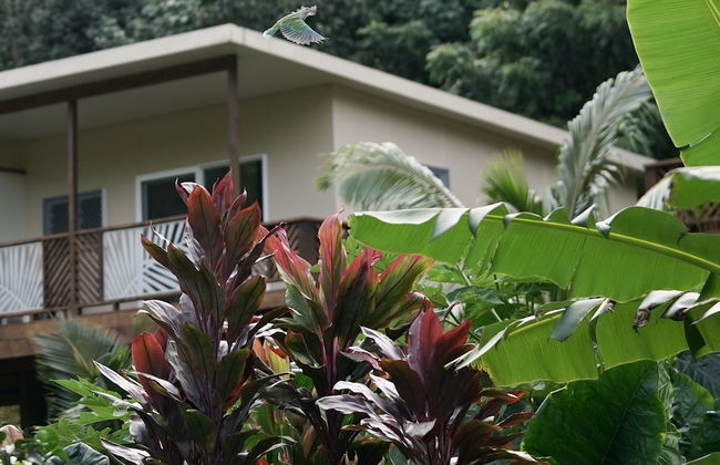 Avana Valley Heights - Photo 15