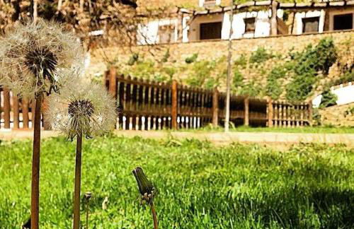 El Huertecillo - Foto 9