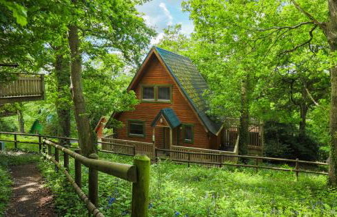 Fern Gully Lodge with Hot Tub - Spa Resort - Devon - Foto 12