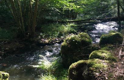 Ancienne Auberge des Brizards - Morvan (14 personnes) - Foto 46