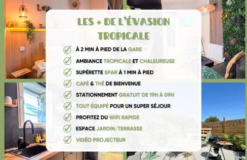 L'Évasion Tropicale, Queen Size, Jardin & Gare - Foto 2