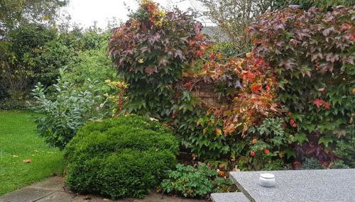 Holiday Home Elbufer 4C by Interhome - Foto 3