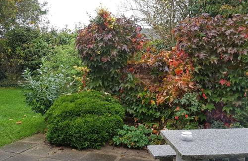 Holiday Home Elbufer 4C by Interhome - Foto 3