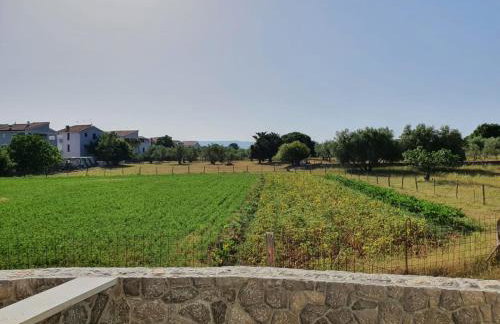 Apartman Ivana - Foto 20