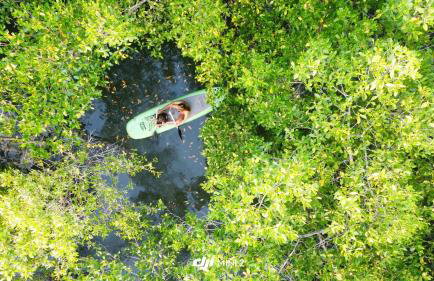 Porto Taipu - Foto 16