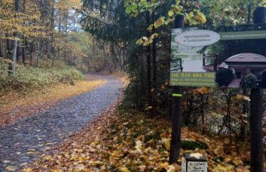 Leśniczówka Świt Gabriela Pieczka - Foto 10