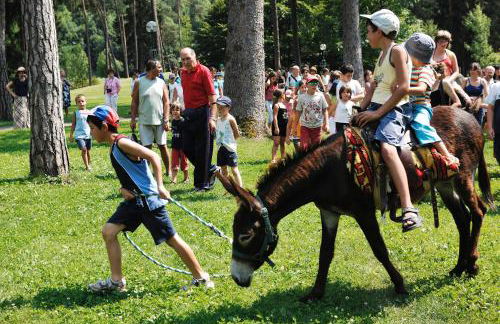 Residenza Casale - Foto 62