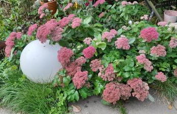 Ferienwohnungen Willrich - Foto 61