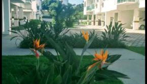 Praia da Cachoeira - Foto 4