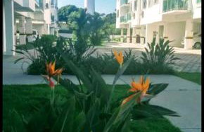 Praia da Cachoeira - Foto 4