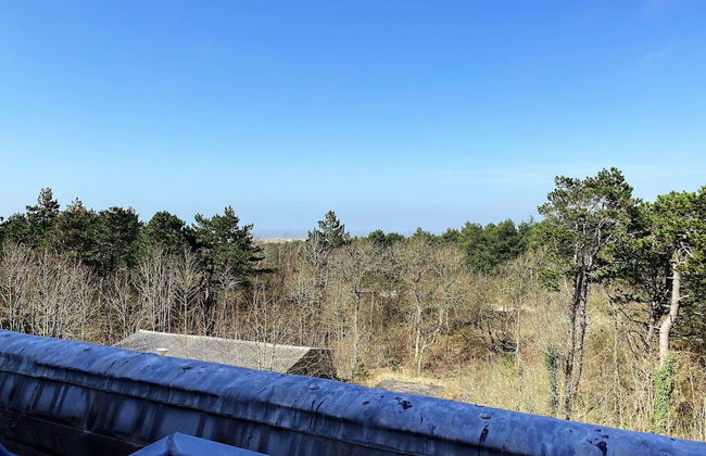 Unique Studio on Large Estate With sea View - Photo 26