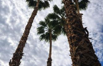 IW Best Cozy Studio Sleeps 4 Private Entrance - Foto 18