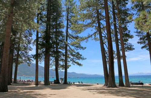 Peace Among the Pines - Foto 6