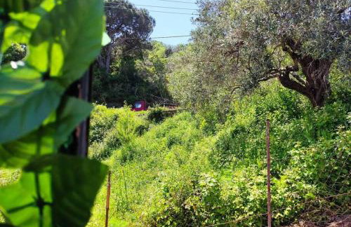 Cozy Mountain View - Foto 16