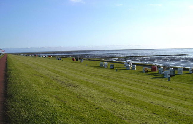 Blauort in Friedrichskoog-spitze - Foto 9
