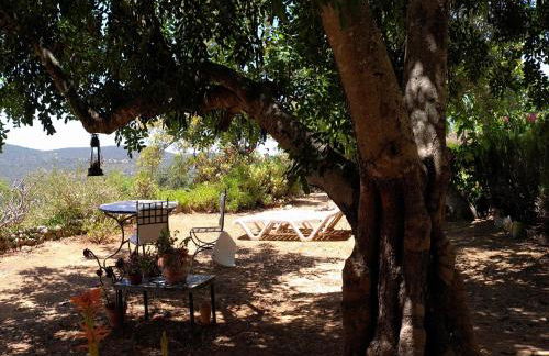 Attractive Portuguese Farm With Modern Decoration - Foto 51