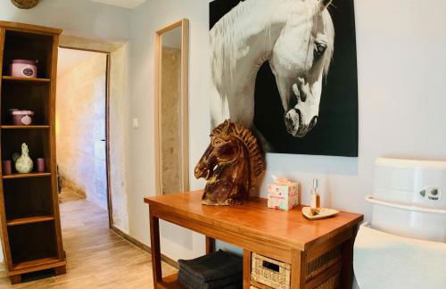 Mas Guiraud, un instant rêvé - Foto 19