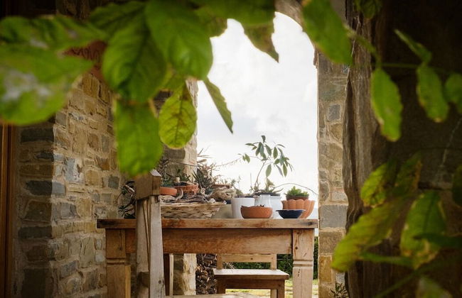 Sulle onde della collina - Foto 7