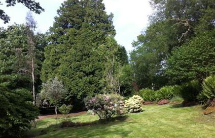 Secluded Seven Room House - Foto 8