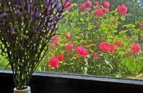 Ferienwohnung Rodder Maar - Foto 16