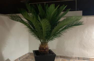 Villa Rosaura - Foto 48