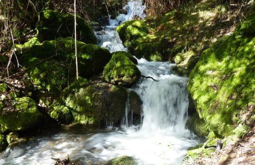 Apartamentos La Condesa - Foto 49