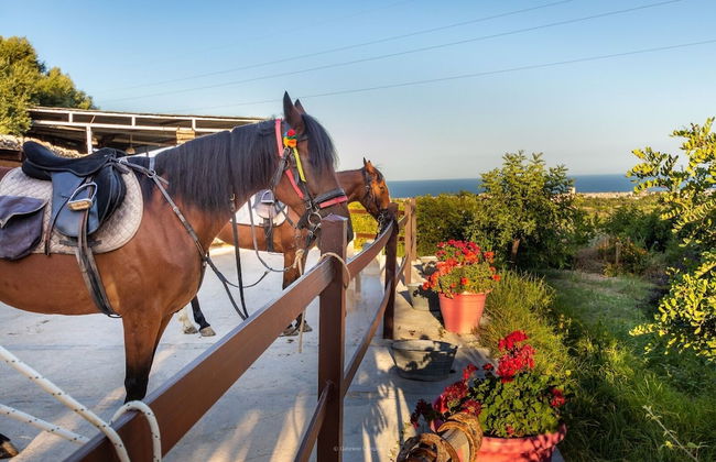 Agriturismo Val di Noto - Foto 36