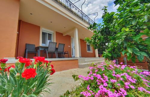 Stellar Blue Palio - Foto 12