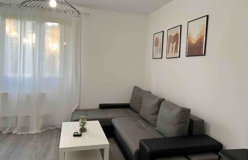 Appartement rénové - Vandoeuvre Lès Nancy - Foto 8