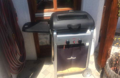 Urlaub mit Blick auf Schiltachs Fachwerkhäuser - Foto 18