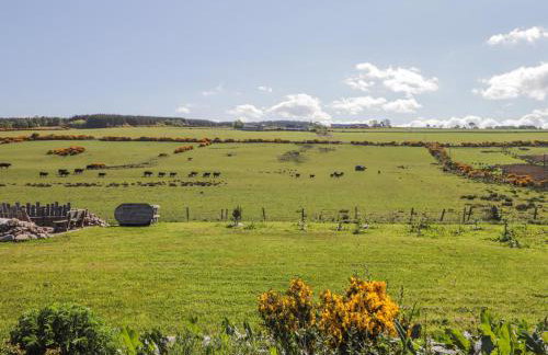 Easter Blervie - Foto 28