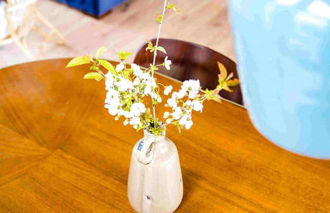 Waterlodge Skries in Nes - Foto 7