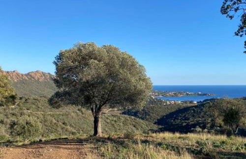 St Raphaël piscine wifi, commerces et mer à pieds - Foto 20