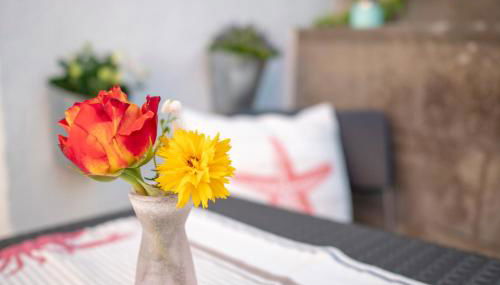 FeWo Kleine Insel - Foto 5