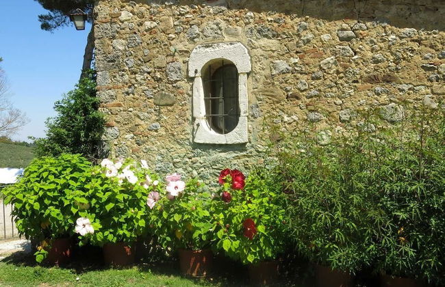 Il Poderaccio - Foto 5