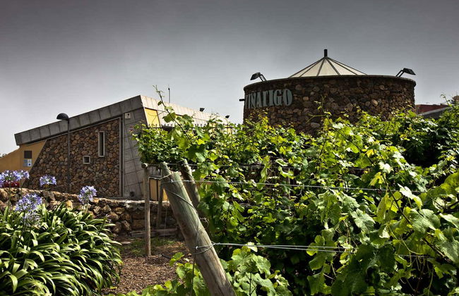 Visita às Bodegas Viñátigo - Foto 6