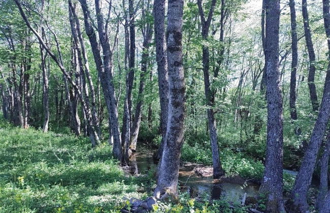 Holiday Home Near Plitvice Lakes - Foto 23