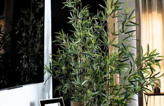 Apartamenty STUDIO - Foto 29