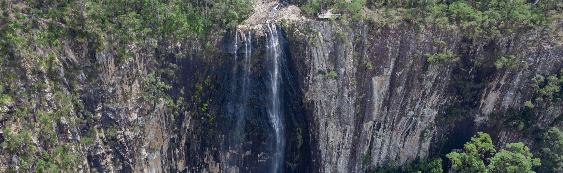 Trilha pelo Parque Nacional Nightcap