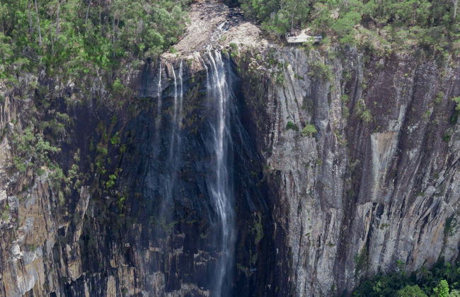 Randonnée dans le Parc National de Nightcap - Photo 1