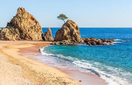 Mar menuda a pocos metros de la playa - Foto 31