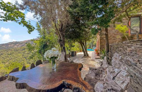 Ikaria View Resort and Villa with Pool - Photo 64