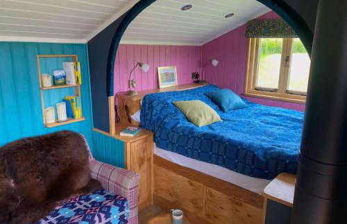 1 Bed in Llanfihangel-y-Creuddyn oc-c34624 - Foto 9