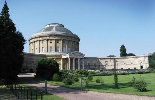 Red Robin, Whepstead - Foto 22