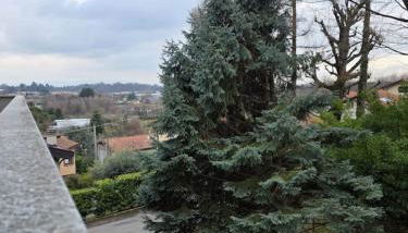 Easy Albese Comfort - Foto 4